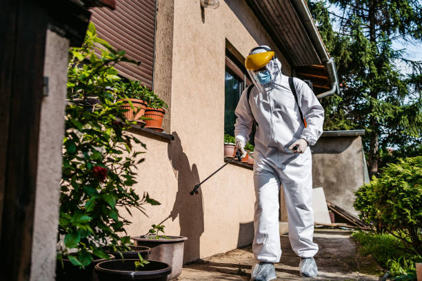 Best Pest Prevention Services  in Woodburn, VA