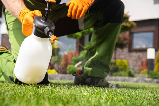 Best Affordable Exterminators  in Woodburn, VA
