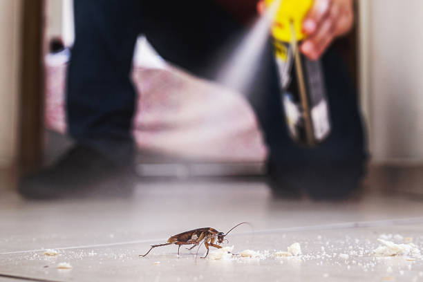 Best Termite Control Services  in Woodburn, VA
