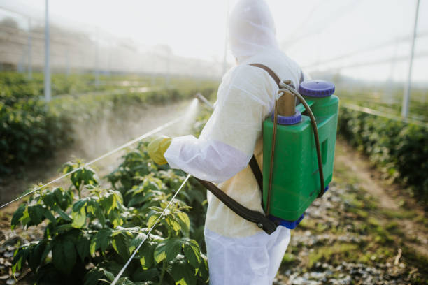  Woodburn, VA Pest Control Pros